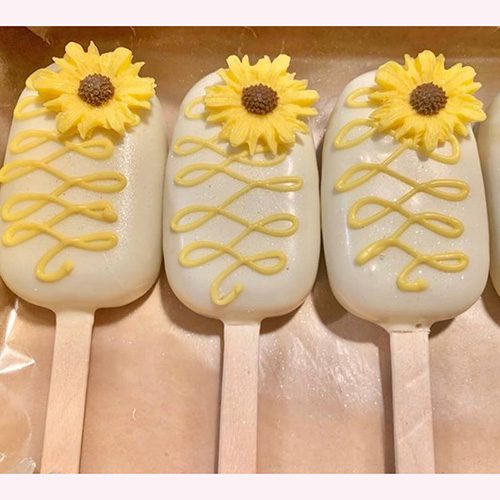 Cakesicles