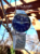 Elegance Watch